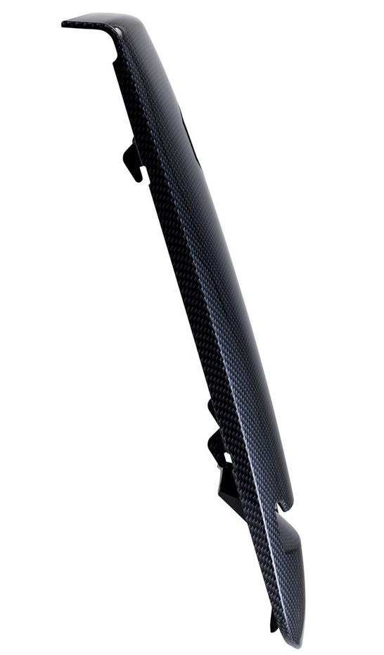 Kaskade für Vespa GTS/​GTS Super/​GTV/​GT 60/​GT/​GT L 125-300ccm (-'18), carbon-look