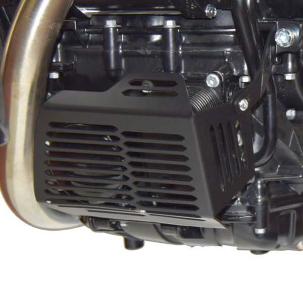 Kit: Kühler- und Ölfilterschutz für BMW F 700 GS (12-18), schwarz