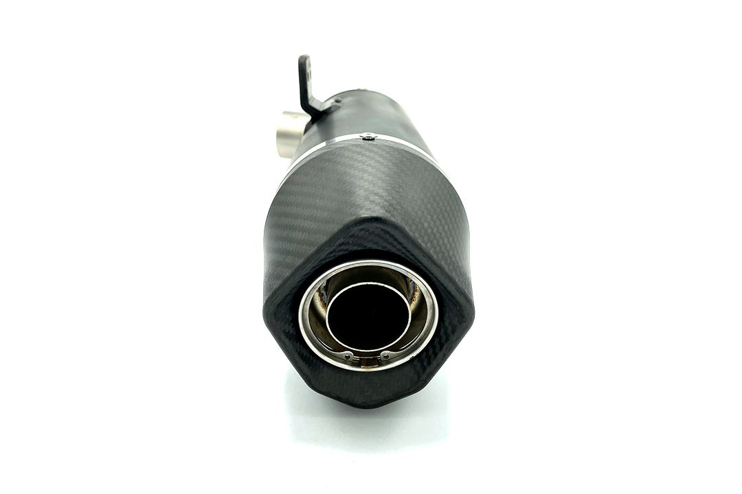 ARROW Auspuff DARK INDY RACE für BMW F 900 R und F 900 XR (20-)